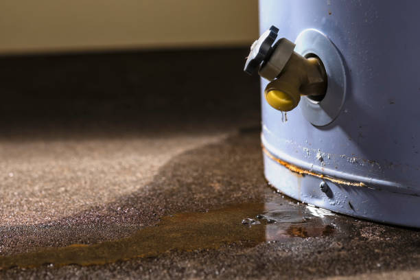 Best Emergency water damage restoration  in Sixteen Mile Stand, OH