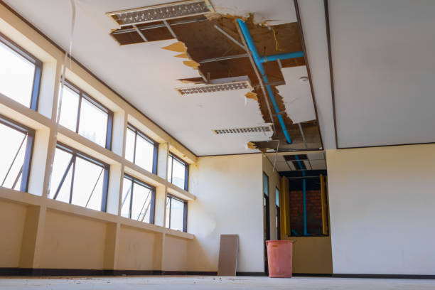Best Mold removal after water damage  in Sixteen Mile Stand, OH