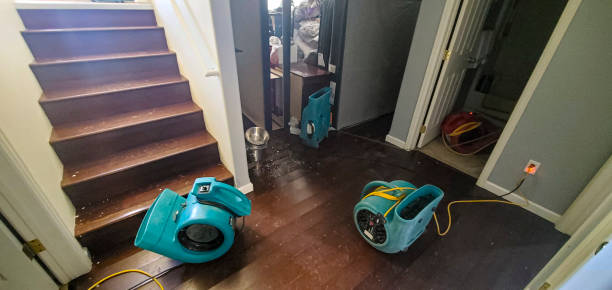Best Fire Damage Restoration  in Sixteen Mile Stand, OH