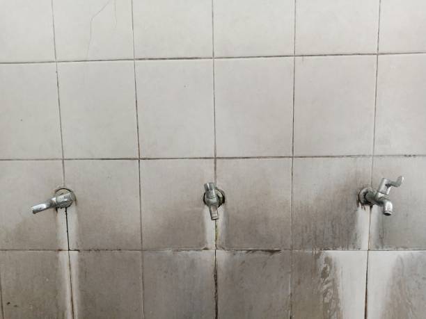 Best Water damage restoration near me  in Sixteen Mile Stand, OH